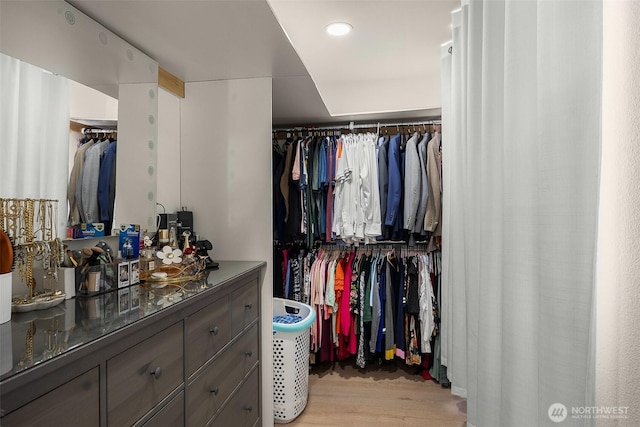spacious closet with light wood finished floors