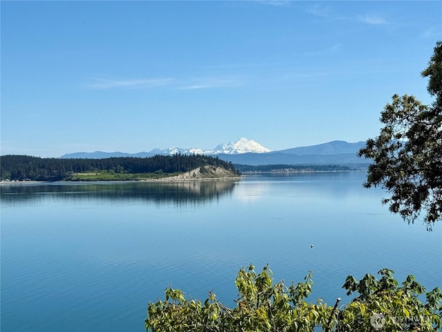 1005 Cavalero Rd, Camano Island, WA 98282 - view of water feature with a mountain view
