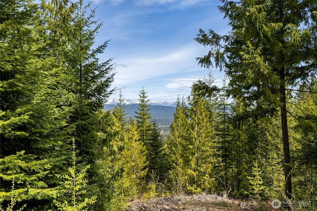91 Basin Creek Way, Cle Elum, WA 98922