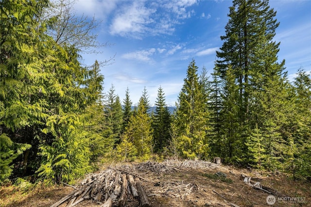 91 Basin Creek Way, Cle Elum, WA 98922