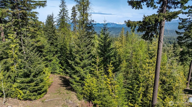 91 Basin Creek Way, Cle Elum, WA 98922