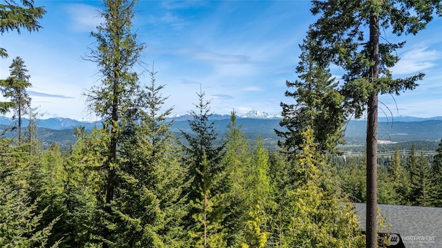 91 Basin Creek Way, Cle Elum, WA 98922