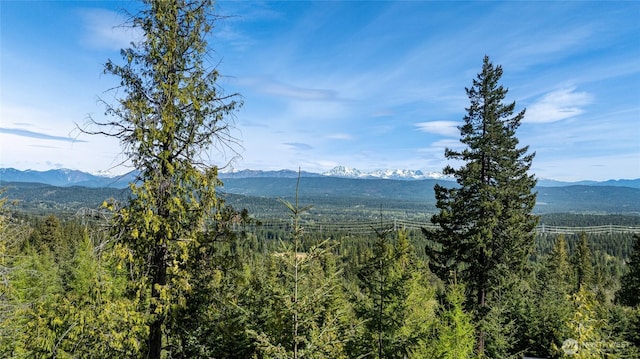 91 Basin Creek Way, Cle Elum, WA 98922