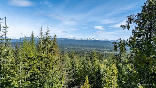 91 Basin Creek Way, Cle Elum, WA 98922