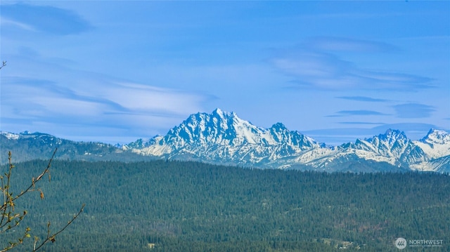91 Basin Creek Way, Cle Elum, WA 98922