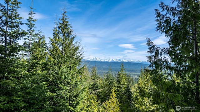 91 Basin Creek Way, Cle Elum, WA 98922