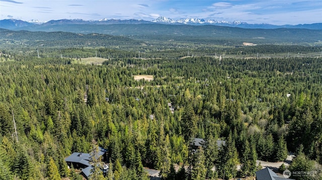 91 Basin Creek Way, Cle Elum, WA 98922