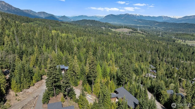91 Basin Creek Way, Cle Elum, WA 98922