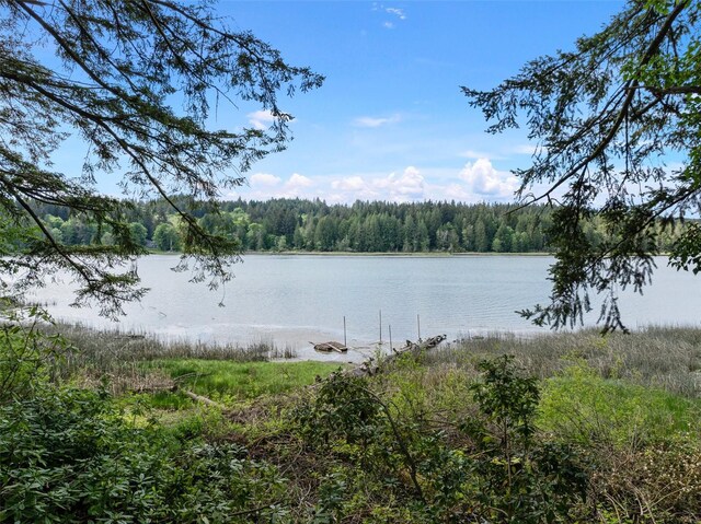 15802 67th Ave NW, Gig Harbor, WA 98332 - water view with a forest