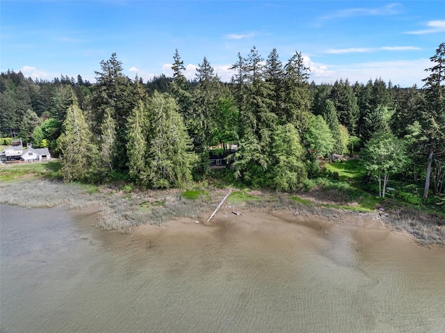 15802 67th Ave NW, Gig Harbor, WA 98332 - view of wooded area