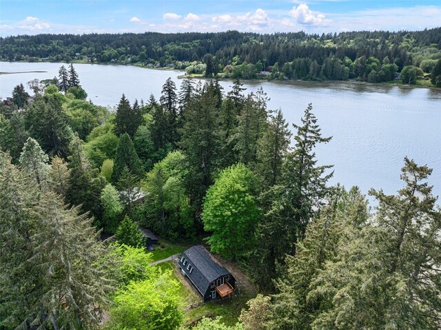 15802 67th Ave NW, Gig Harbor, WA 98332 - bird's eye view of a forest and a nearby body of water