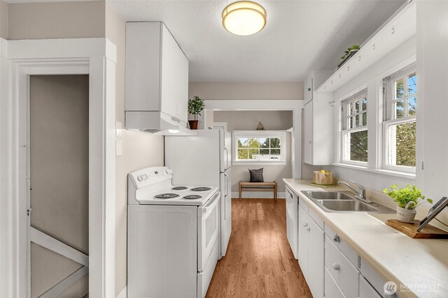 kitchen featuring white appliances, a sink, light countertops, white cabinetry, and light wood finished floors