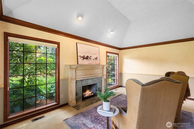 7117 NE 176th Ave, Vancouver, WA 98682 - carpeted living area with lofted ceiling, plenty of natural light, a fireplace, and a textured ceiling