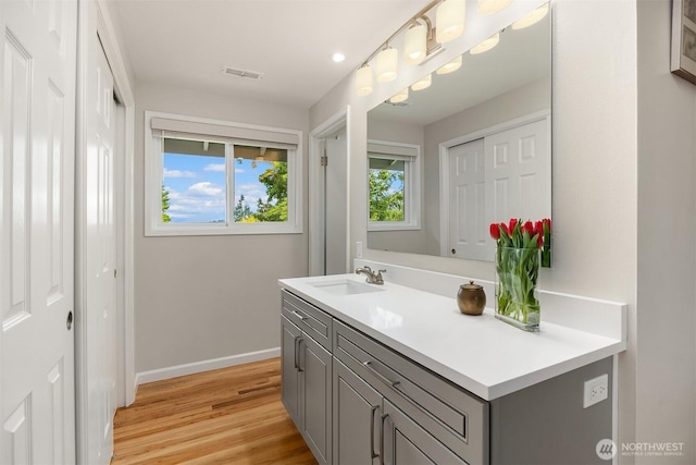 bathroom with baseboards, wood finished floors, and vanity