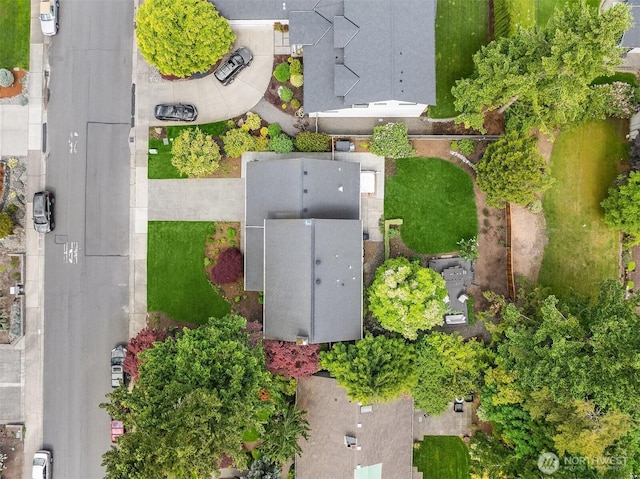 drone / aerial view
