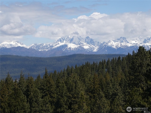 831 Horse Heaven Rd, Cle Elum, WA 98922