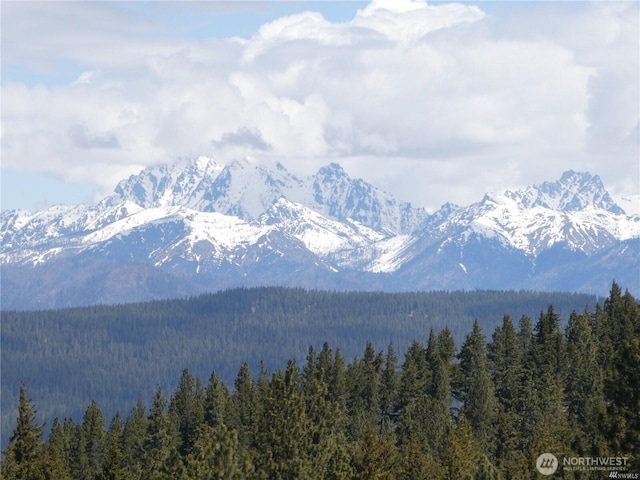 831 Horse Heaven Rd, Cle Elum, WA 98922