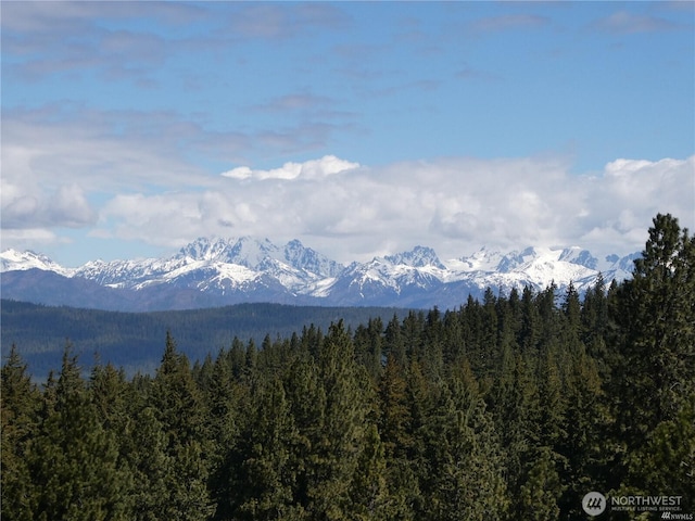 831 Horse Heaven Rd, Cle Elum, WA 98922