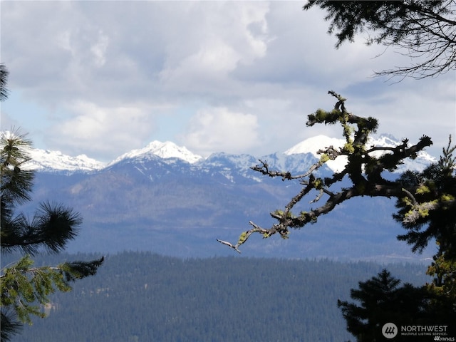 831 Horse Heaven Rd, Cle Elum, WA 98922