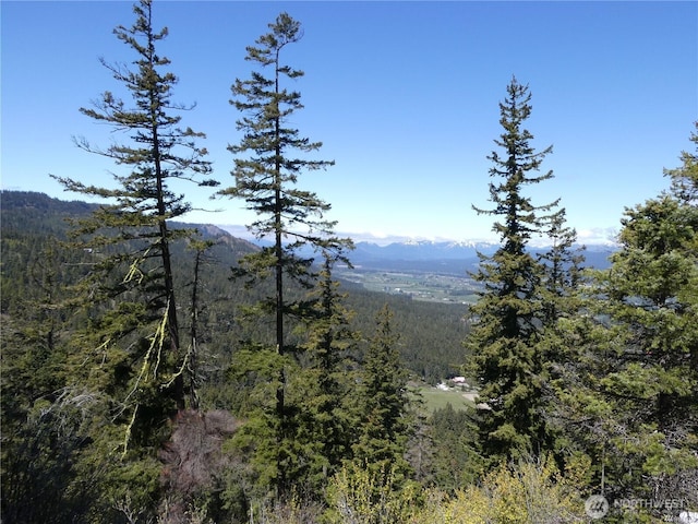 831 Horse Heaven Rd, Cle Elum, WA 98922