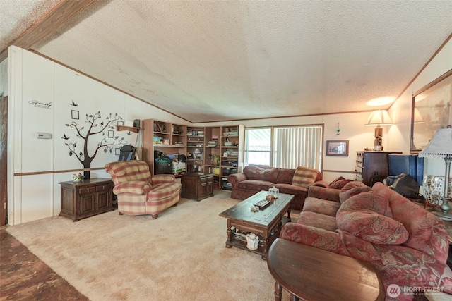 415 Lake View Rd Unit K8, Lynnwood, WA 98087 - carpeted living room featuring a textured ceiling and vaulted ceiling
