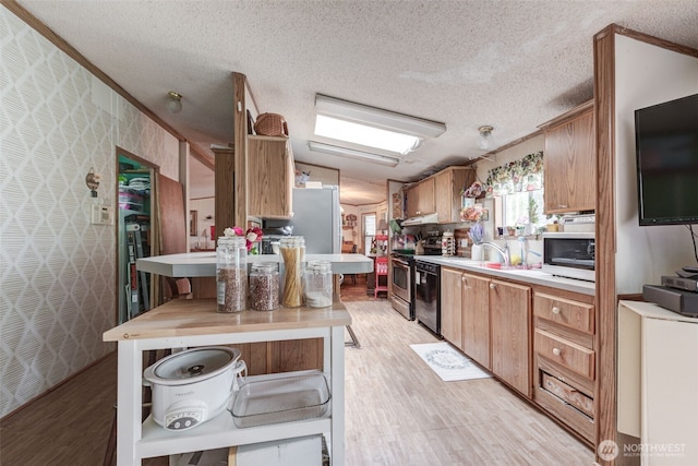 415 Lake View Rd Unit K8, Lynnwood, WA 98087 - kitchen featuring stainless steel range with electric stovetop, dishwasher, light countertops, light wood-style flooring, and a textured ceiling