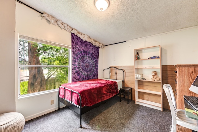 415 Lake View Rd Unit K8, Lynnwood, WA 98087 - bedroom with a textured ceiling and carpet