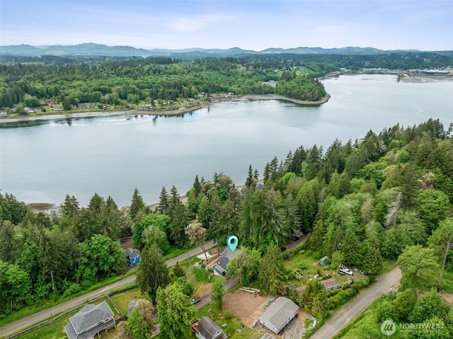 440 E Bridger Ln, Shelton, WA 98584 - photo 32