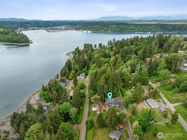 440 E Bridger Ln, Shelton, WA 98584 - photo 33
