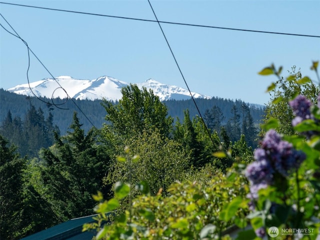 mountain view with a forest