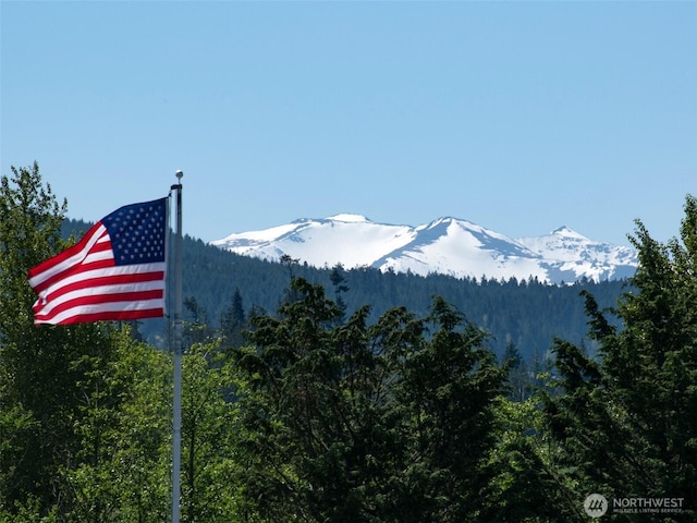 view of mountain background with a heavily wooded area