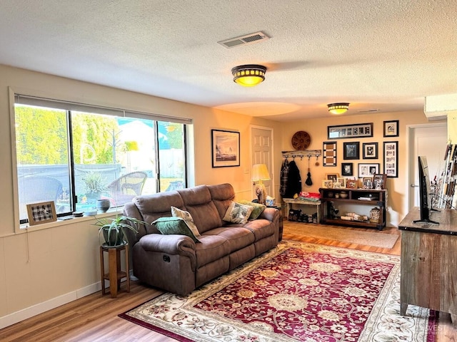 living room featuring wood finished floors, a textured ceiling, healthy amount of natural light, and baseboards