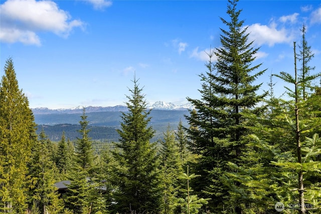 131 Basin Creek Way, Cle Elum, WA 98922