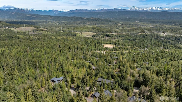 131 Basin Creek Way, Cle Elum, WA 98922