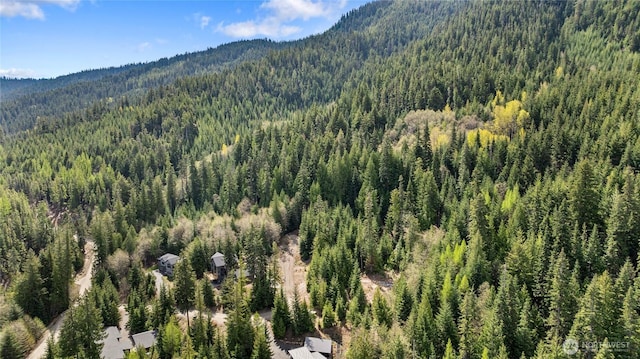 131 Basin Creek Way, Cle Elum, WA 98922
