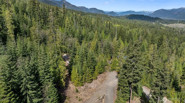 131 Basin Creek Way, Cle Elum, WA 98922