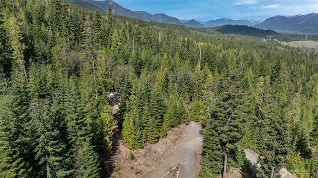 131 Basin Creek Way, Cle Elum, WA 98922