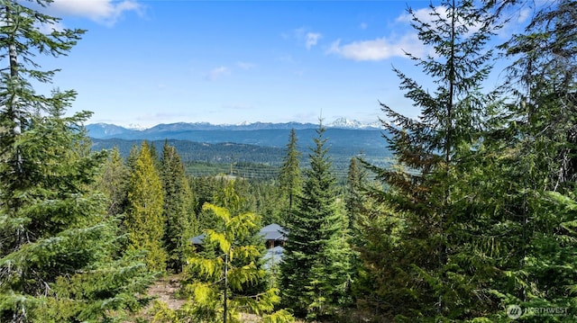 131 Basin Creek Way, Cle Elum, WA 98922
