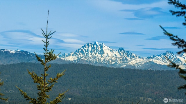 131 Basin Creek Way, Cle Elum, WA 98922