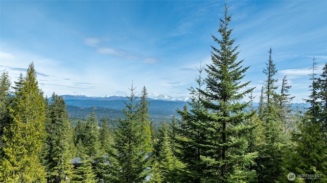 131 Basin Creek Way, Cle Elum, WA 98922