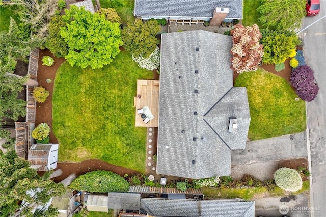 bird's eye view