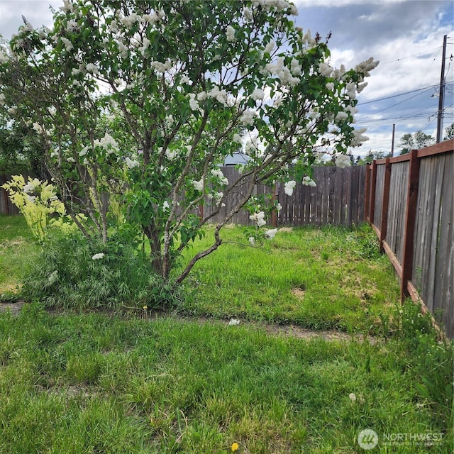 705 E 54th St, Tacoma, WA 98404 - view of yard featuring fence