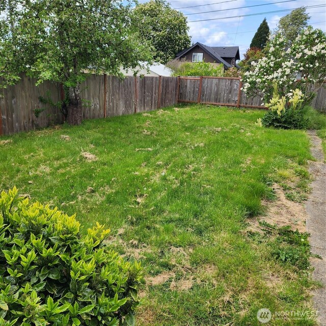 705 E 54th St, Tacoma, WA 98404 - view of yard