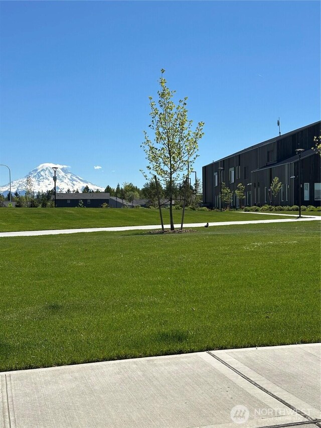 10823 187th Street Ct E, Puyallup, WA 98374 - view of property's community featuring a lawn and a mountain view