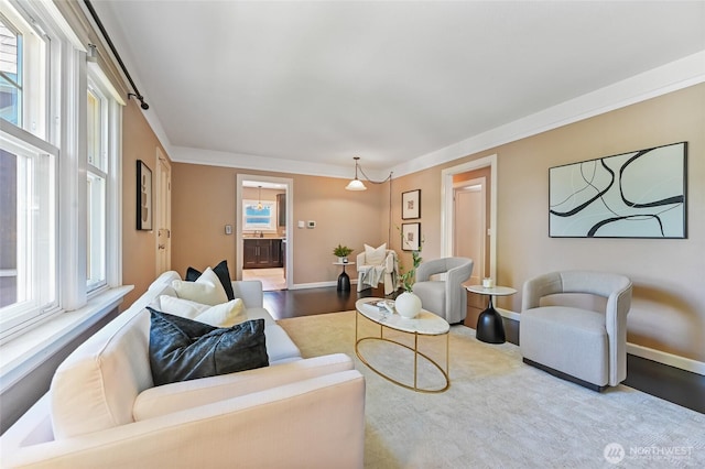 living area featuring healthy amount of natural light, wood finished floors, and baseboards