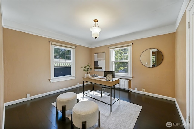 office space featuring baseboards, plenty of natural light, dark wood-style flooring, and crown molding