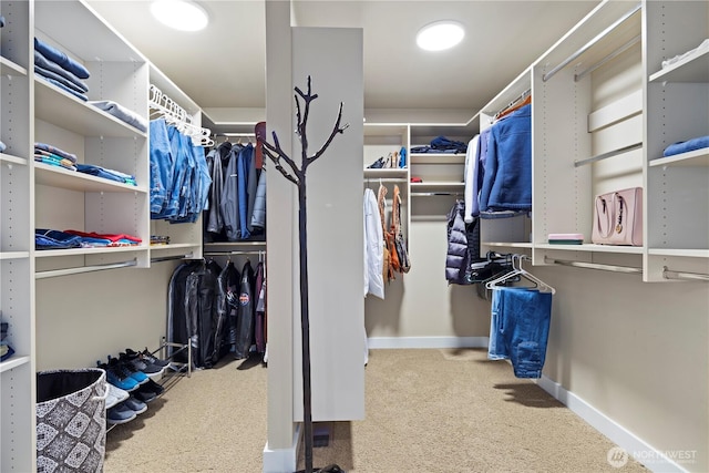 walk in closet with carpet