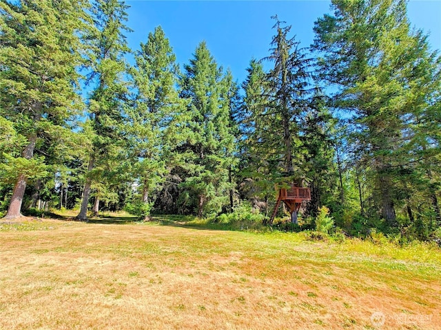 48513 144th Ave E, Eatonville, WA 98328 - photo 36