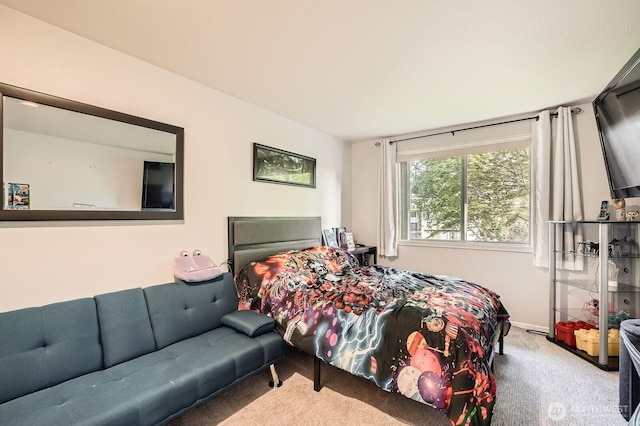 1851 58th St NE, Tacoma, WA 98422 - view of carpeted bedroom
