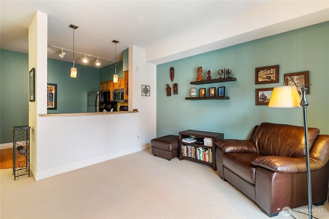 living area featuring track lighting, carpet floors, and baseboards